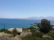 Ammoudara bei Agios Nikolaos Kreta, Ammoudara: Grundstücke in unmittelbarer Meeresnähe bei Agios Nikolaos zu verkaufen Grundstück kaufen